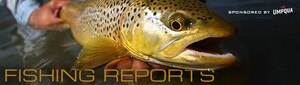 Fishing Report | Roaring Fork